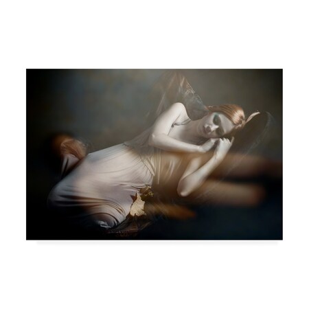 Olga Mest 'Forbidden Dreams' Canvas Art,30x47